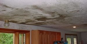 Mold Growth On Ceiling After Pipe Burst