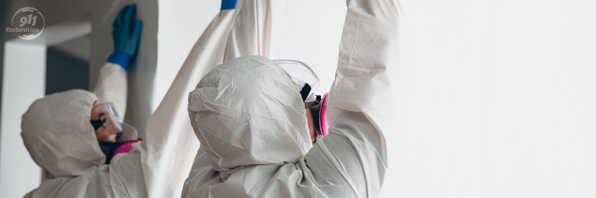 Mold Removal Duluth
